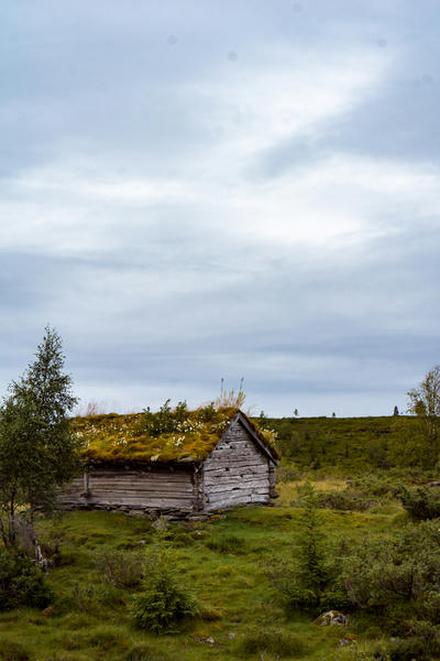 Nowegian Summer Houses