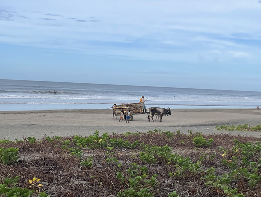 Nicaragua: The New Costa Rica for Surfers, Yogis, and the Wild at Heart Nicaragua: The New Costa Rica for Surfers, Yogis, and the Wild at Heart