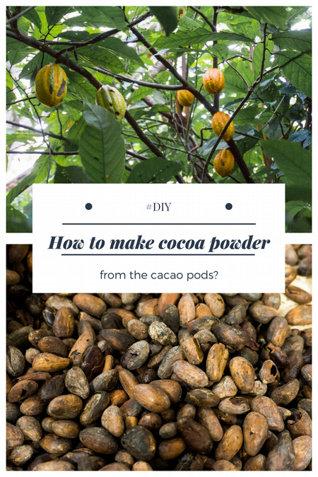 Cacao DIY