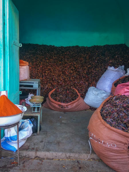 Ethiopia churches