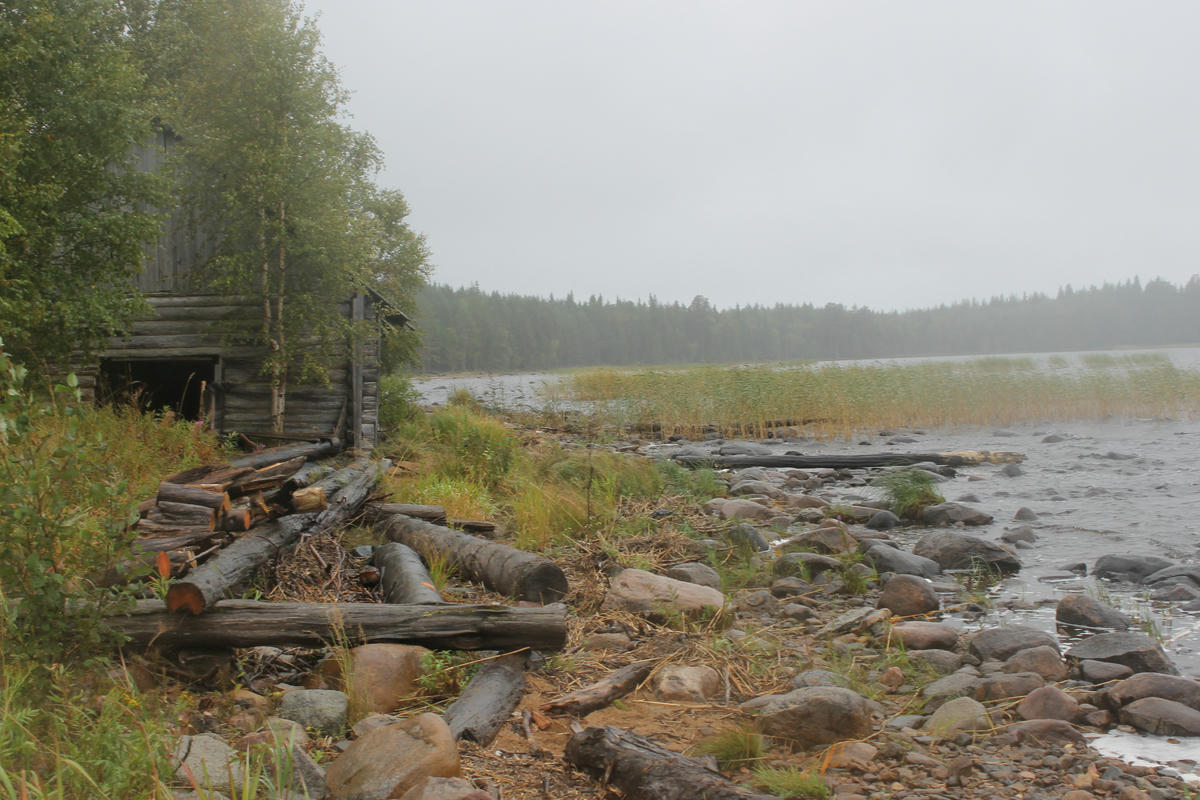 by the Onega Lake