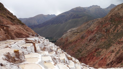 How I Worked on a Coca Farm in Peru | Nomadic Days