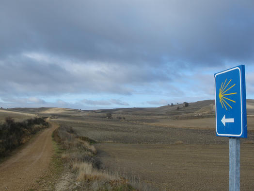 Camino Walk: Hunt for the Yellow Arrow