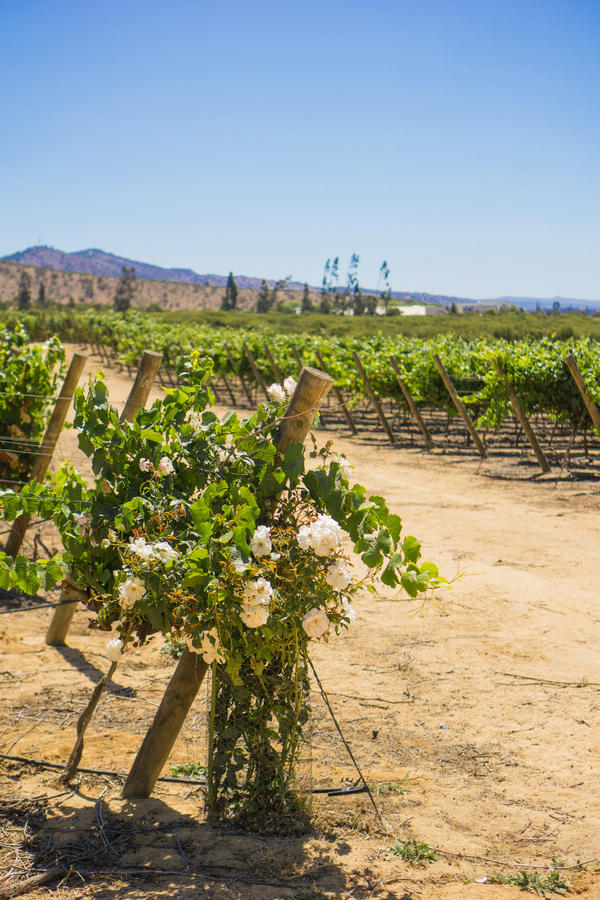 wineries of casablanca