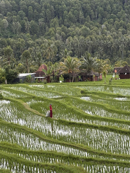 Is Bali Still Worth It — Or Just Impossible for Digital Nomads to Leave?