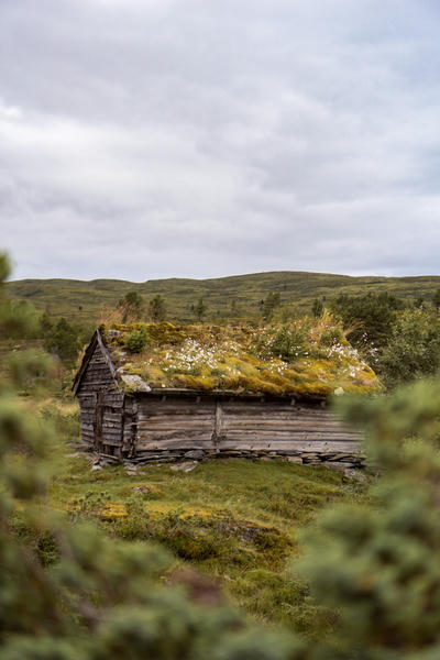 Norway cabin