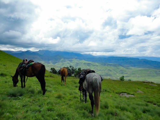 On Horseback Across African Borders - a 3 Day Long Trail Ride from South Africa to Lesotho