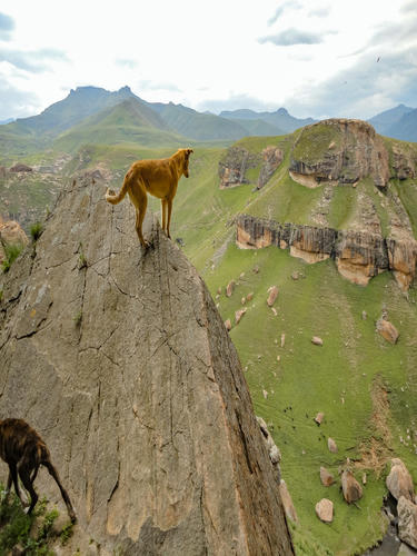 Trail Ride in Drakensberg with Khotso