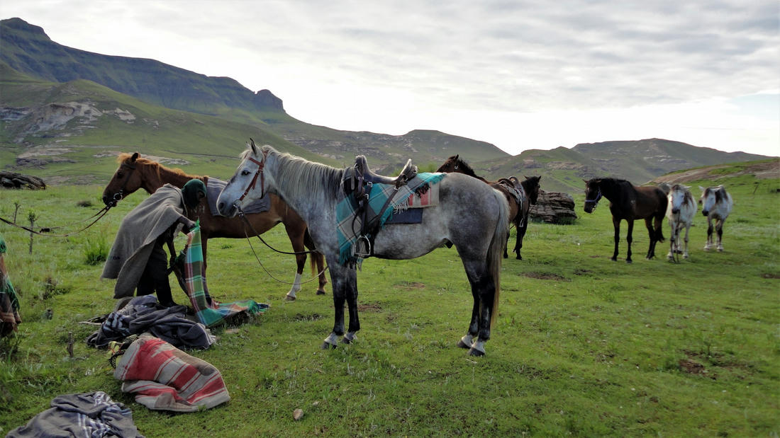 Trail Ride in Drakensberg with Khotso