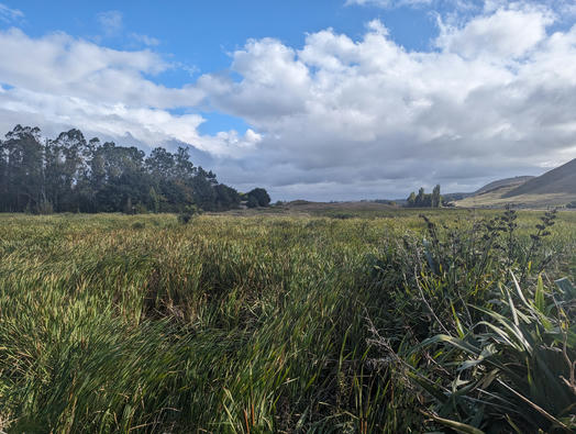 North Island in New Zealand: Why We Prefer it to South Island North Island in New Zealand: Why We Prefer it to South Island