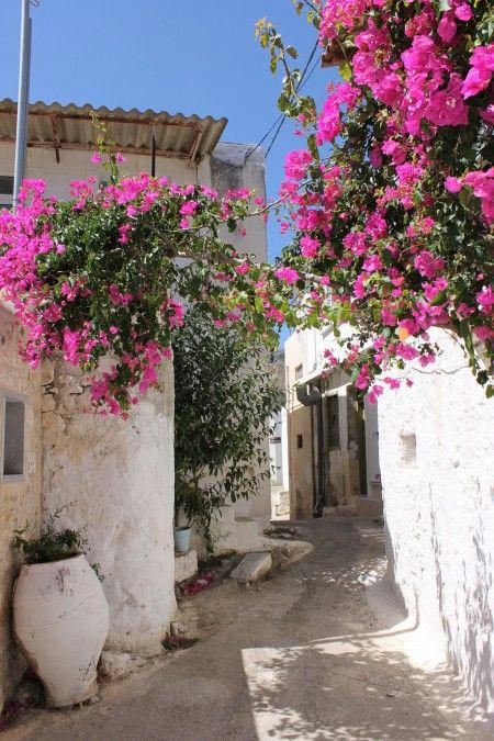village village
