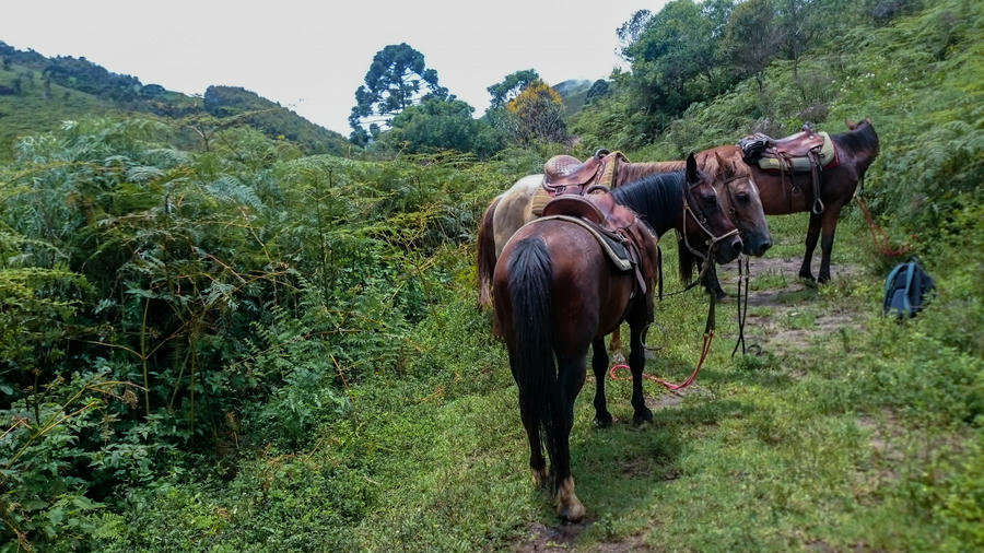 Paraty