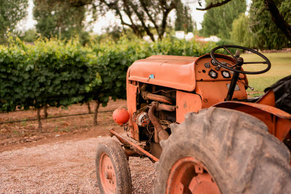wineries in Mendoza wineries in Mendoza