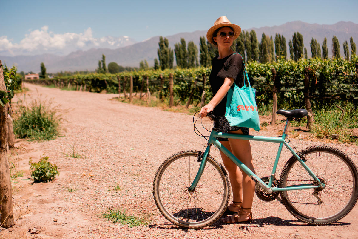 Wineries in Mendoza. Bodega Viamonte