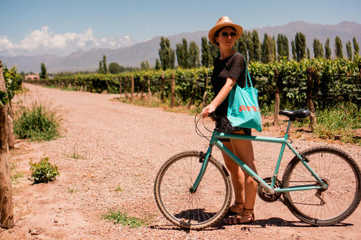 Best Wineries in Mendoza, Argentina - Without a Tour