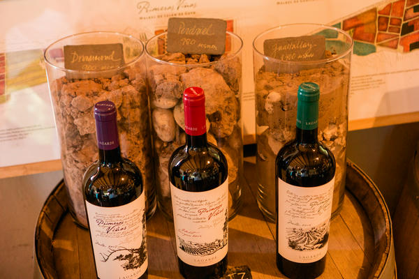 wineries in Mendoza