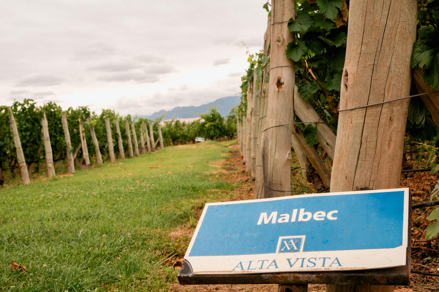 wineries in Mendoza