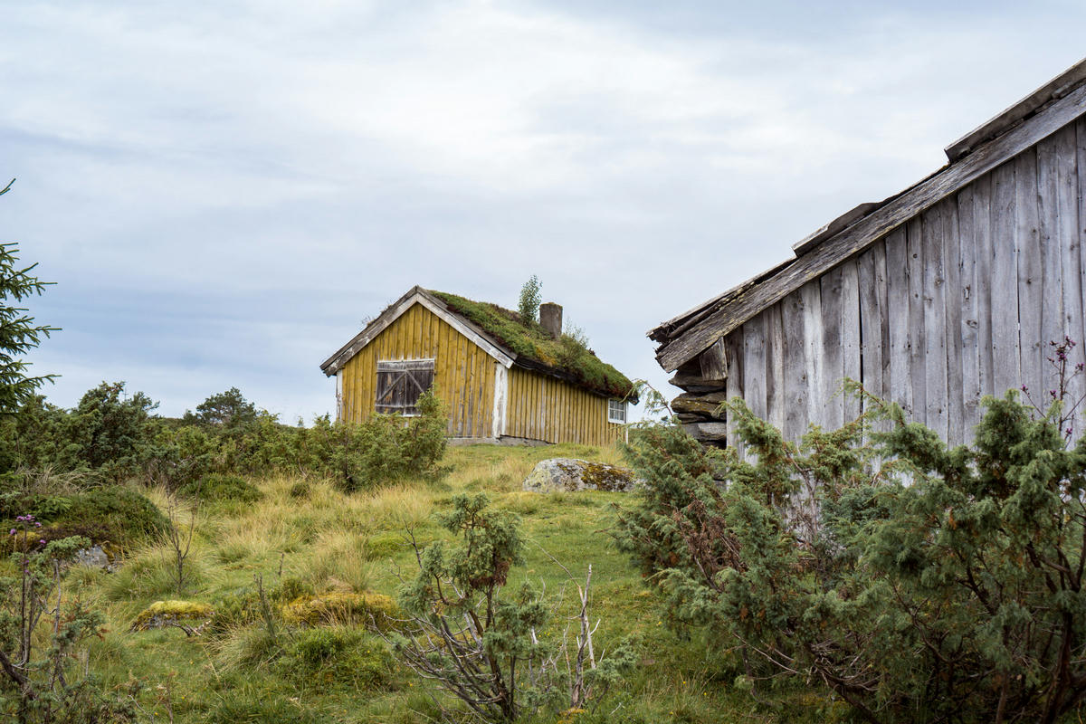 Nowegian Summer Houses