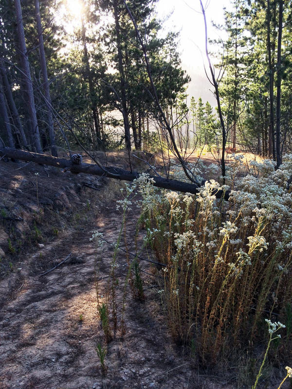 Lago Peñuelas Reserve