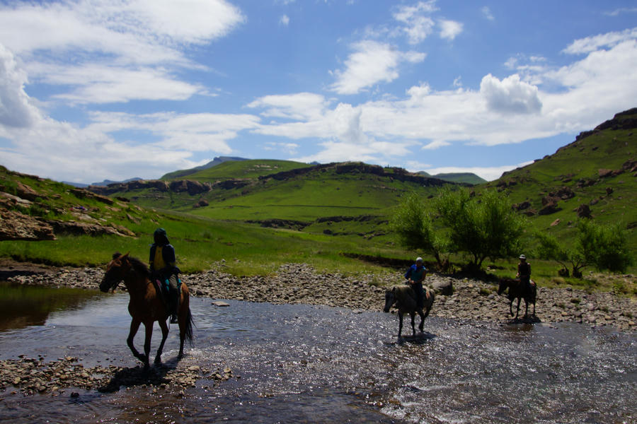 Horse trekking