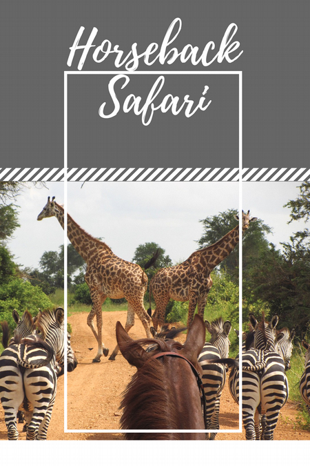 horseback safari in Africa