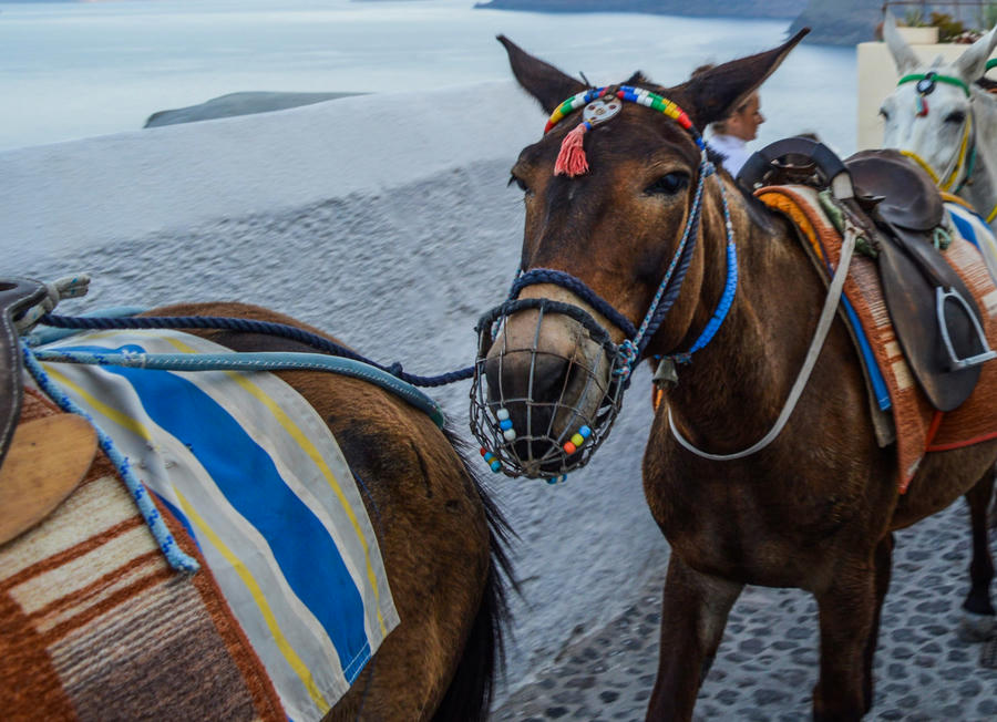 Santorini Photo diary and photography tips